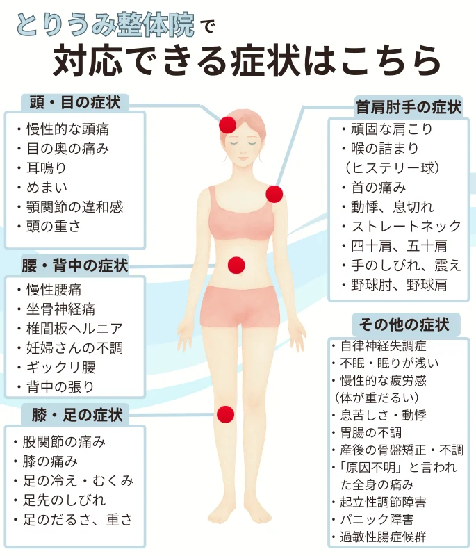 仙台市太白区のとりうみ整体院で対応できる症状一覧。頭痛、めまい、肩こり、首の痛み、腰痛、坐骨神経痛、膝の痛み、自律神経失調症などを人体イラストで案内